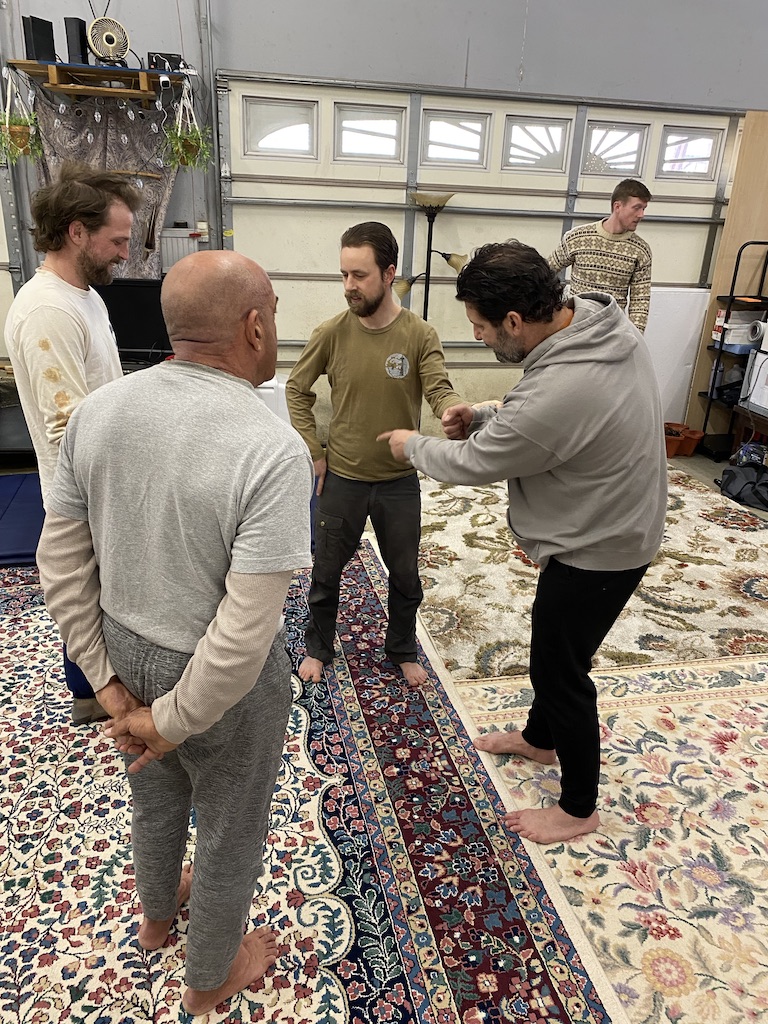 weekly systema classes asheville nc