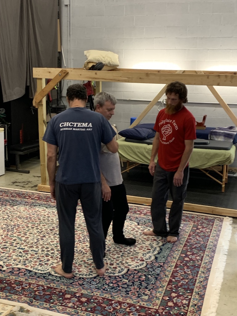 Systema3.jpg