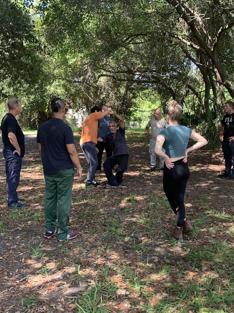 Systema6.jpg