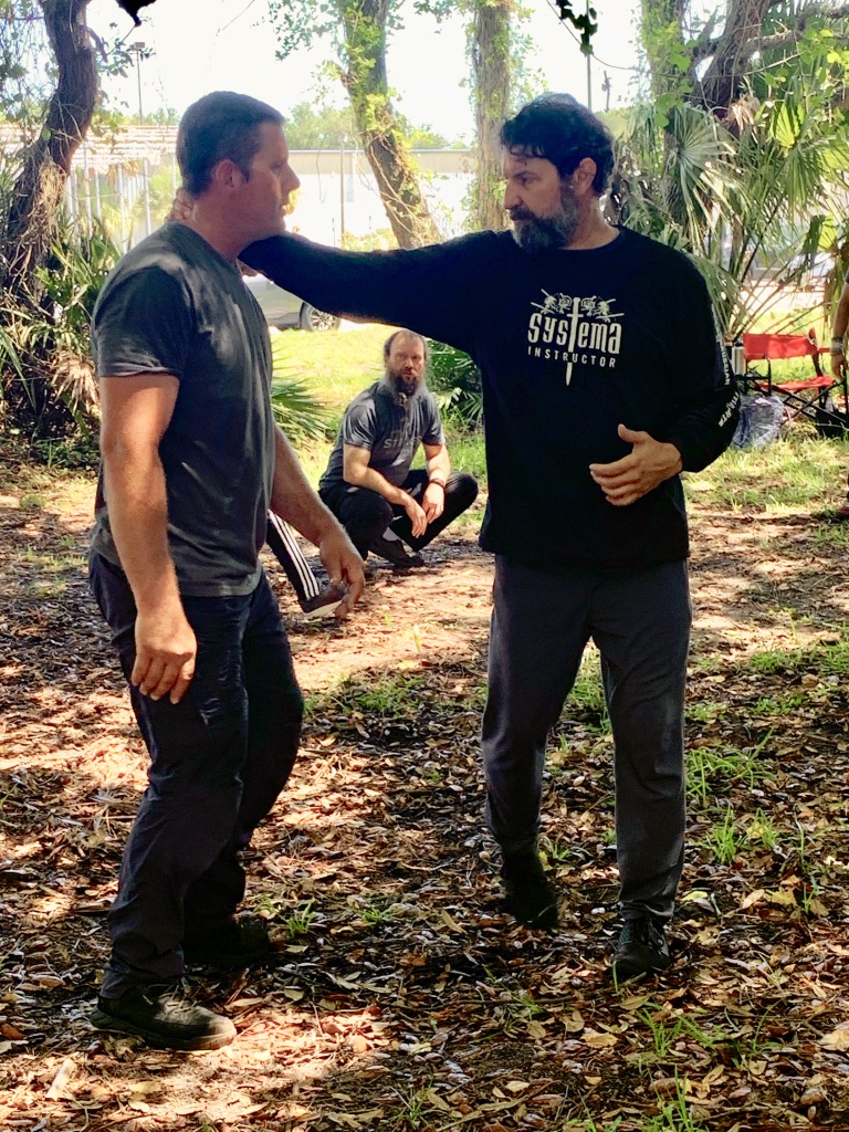 Systema7.jpg