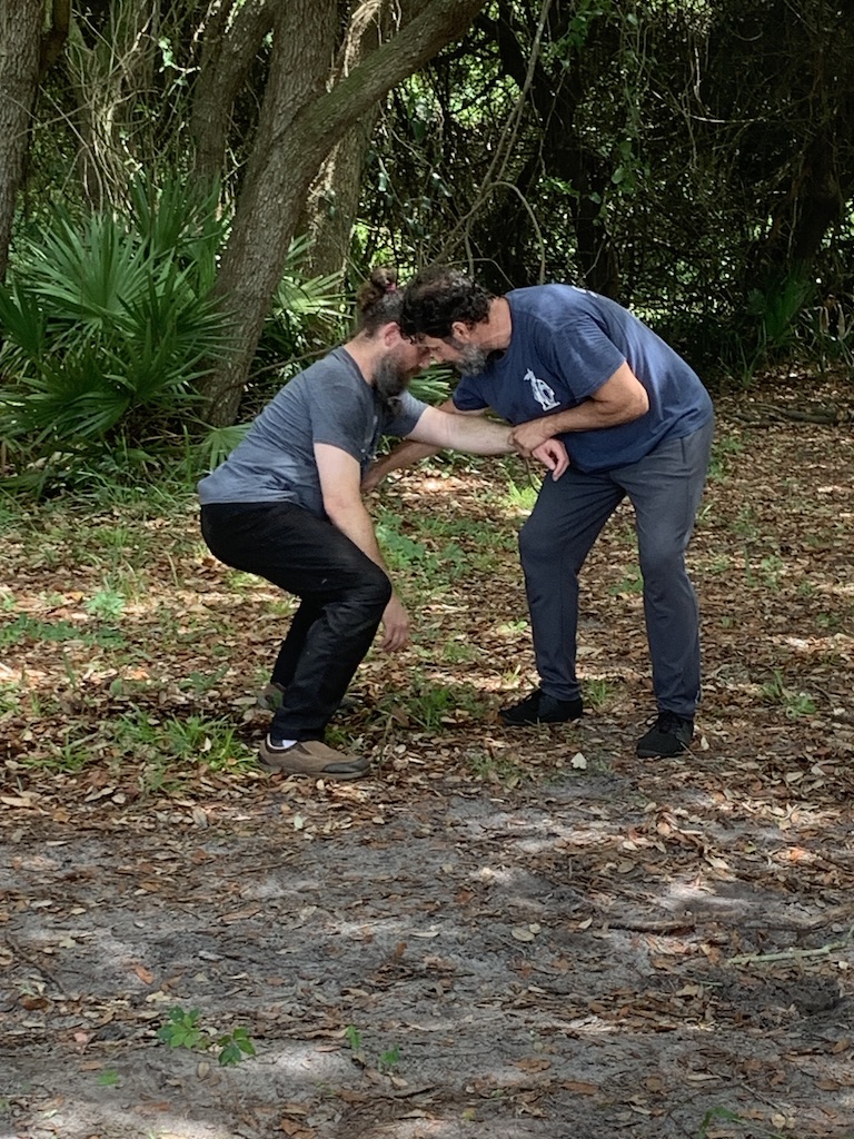 Systema8.jpg