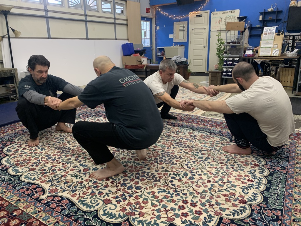 Systema9.jpg