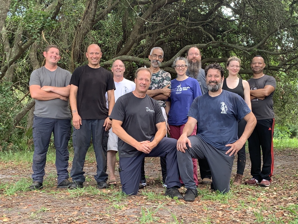 asheville systema mission and vision statements